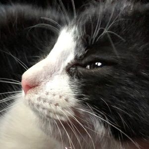 Meet your Posher, Jasmine